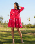 Vaanya Hand-Embroidered Short Dress